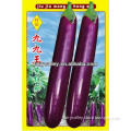 Beautiful And Nice Tasted Long Purple Eggplant Seeds For Growing